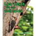 Las Casas de Los Animales: (Animal Homes in Spanish)