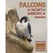 Falcons of North America