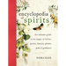 The Encyclopedia of Spirits: The Ultimate Guide to the Magic of Fairies, Genies, Demons, Ghosts, Gods and Goddesses