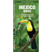 Mexico Birds: A Folding Pocket Guide to Familiar Species