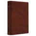 ESV Everyday Gospel Bible: Connecting Scripture to All of Life (Trutone, Chestnut)