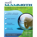 Math Mammoth Grade 4-A Worktext, Canadian Version