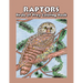 Raptors - Birds of Prey Coloring Book