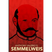 Anthony Valerio's SEMMELWEIS