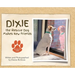 Dixie the Rescue Dog Makes New Friends
