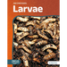 Larvae