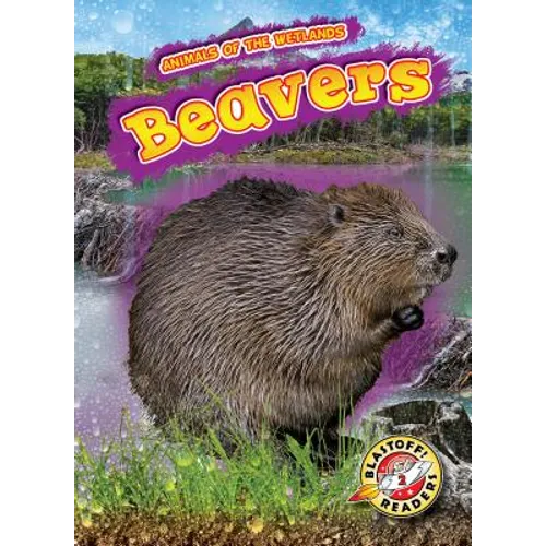 Beavers