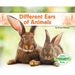 Different Ears of Animals