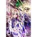 Wiedergeburt: Legend of the Reincarnated Warrior: Volume 13