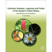 Common Grasses, Legumes and Forbs of the Eastern United States: Identification and Adaptation