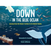 Down in the Blue Ocean: Journey from the Ocean's Surface to Its Deepest Depths