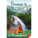 Promises to Protect