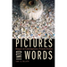 Pictures Into Words: Images in Contemporary French Fiction