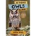 All Things Owls For Kids: Filled With Plenty of Facts, Photos, and Fun to Learn all About Owls
