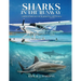 Sharks in the Runway: A Seaplane Pilot's Fifty-Year Journey Through Bahamian Times!