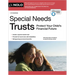 Special Needs Trusts: Protect Your Child's Financial Future