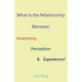 What is the Relationship Between Awareness, Perception & Experience?