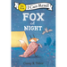 Fox at Night