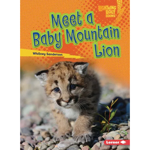 Meet a Baby Mountain Lion