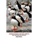 Advanced Business for Social Benefits: Profit from Serving Social Needs Well