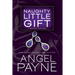 Naughty Little Gift