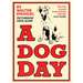 A Dog Day