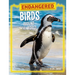 Endangered Birds Around the World