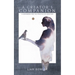 A Creator's Companion