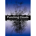 Punching Clouds: An Introduction to the Complexity of Public Decision-Making