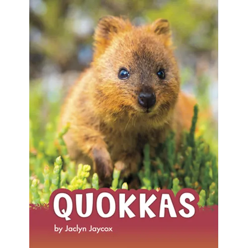 Quokkas