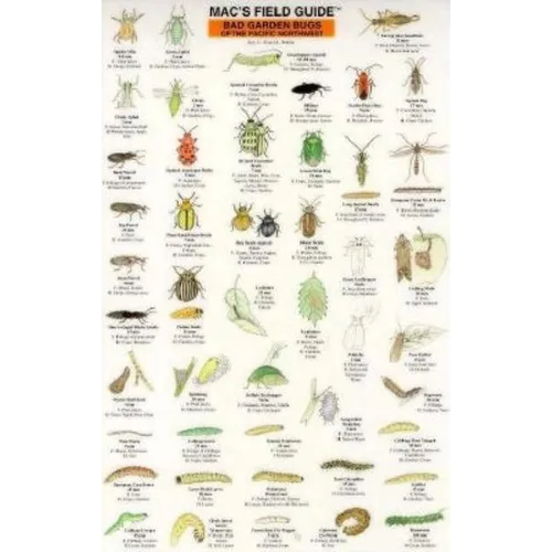 Mac's Field Guides: Northwest Garden Bugs