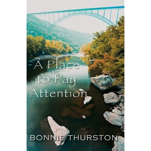 A Place to Pay Attention
