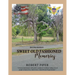 Sweet old fashioned memories: 2nd Edition