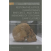 Restorative Justice, Humanitarian Rhetorics, and Public Memories of Colonial Camp Cultures