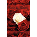 Rose in Bloom