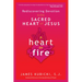 A Heart on Fire: Rediscovering Devotion to the Sacred Heart of Jesus