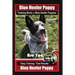 Blue Heeler Puppy Training Book for Blue Heeler Puppies By BoneUP DOG Training: Are You Ready to Bone Up? Easy Steps * Fast Results Blue Heeler Puppy