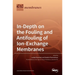 In-Depth on the Fouling and Antifouling of Ion-Exchange Membranes