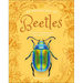 An Anthology of Beetles: A Collection of Brilliant Beetles from Around the World