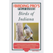 Birds of Indiana (The Birding Pro's Field Guides)
