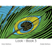 Look - Book 3: VI