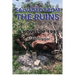 Salvaged from the Ruins: A Novel of 1945