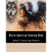 Native American Coloring Book For Adults: Beautiful One Sided Native American Designs