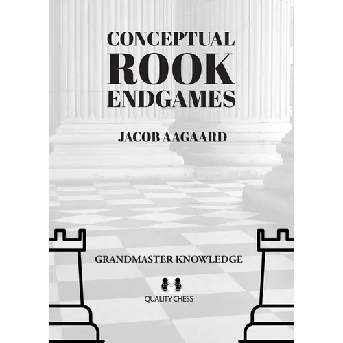 Conceptual Rook Endgames: Grandmaster Knowledge