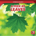 A Peek at Leaves