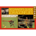 Stokes Beginner's Guide to Dragonflies