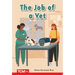 The Job of a Vet: Prek/K: Book 16
