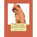 I Want A Pet Brussels Griffon: Fun Learning Activities
