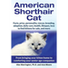 American Shorthair Cat: From bringing your kitten home to comforting your senior age companion