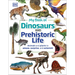 My Book of Dinosaurs and Prehistoric Life: Animals and Plants to Amaze, Surprise, and Astonish!